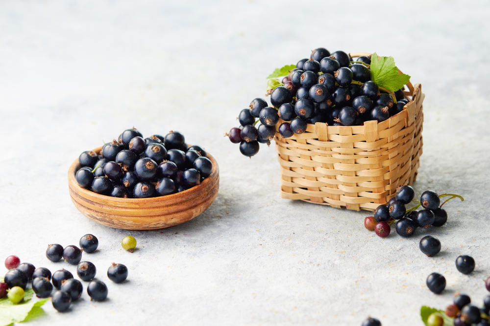 Health Benefits of Blackcurrants