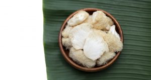 Lion's Mane Mushrooms