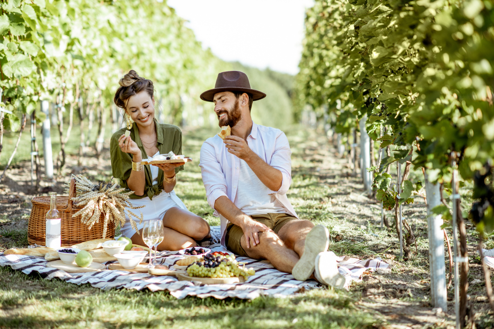 Vineyards in Tasmania