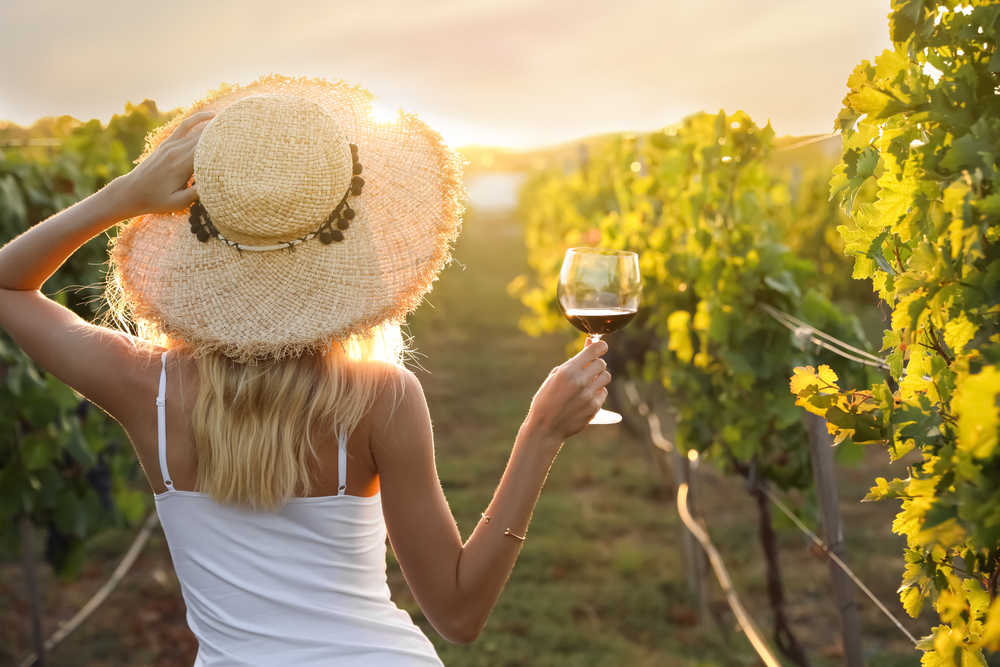 Vineyards in Tasmania