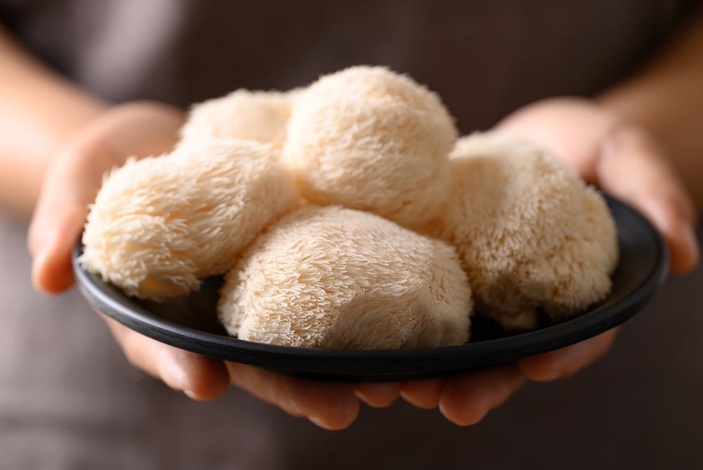 cooking with Lion's Mane Mushrooms