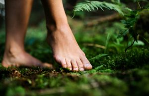 what is forest bathing