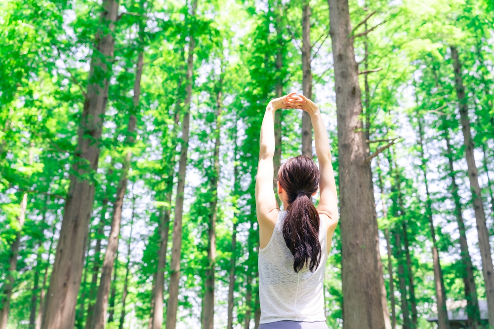 what is forest bathing