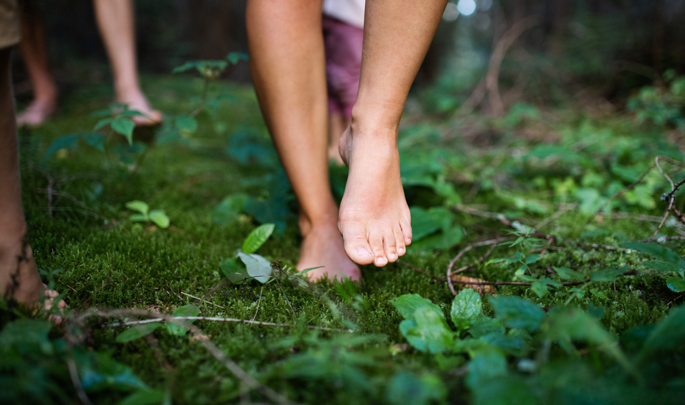 what is forest bathing