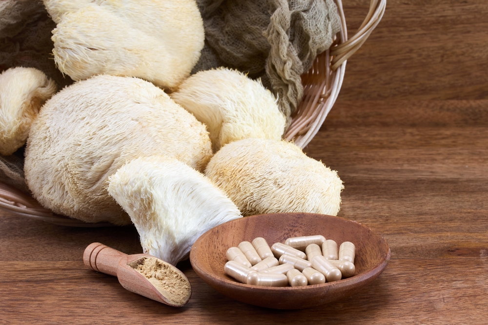 lions mane mushroom supplement