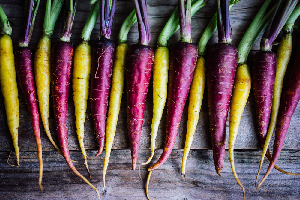 The Best Vegetables to Sow in Early Spring