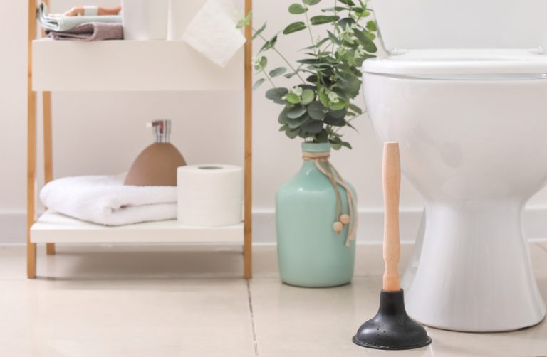 how to unblock a toilet