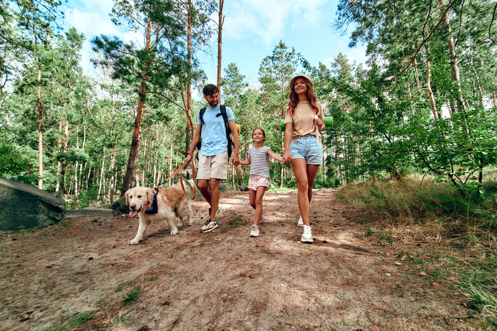 UK holidays with dogs