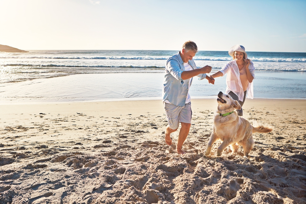 UK holidays with dogs