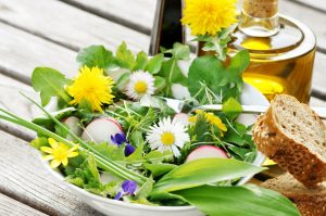 herbs that support pollinators