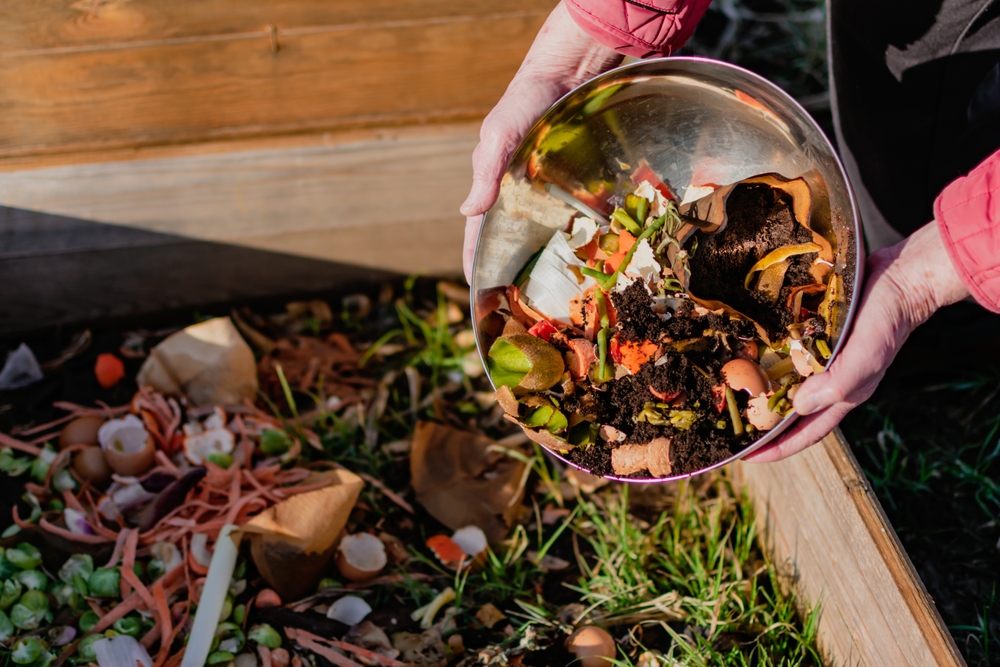 things you should not put in a composting pile