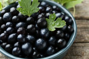 weightloss berry