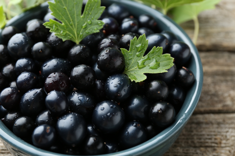 weightloss berry