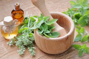 aromatic plants that make home smell nice