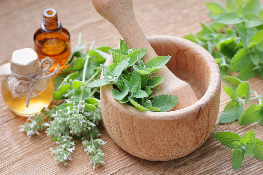 aromatic plants that make home smell nice