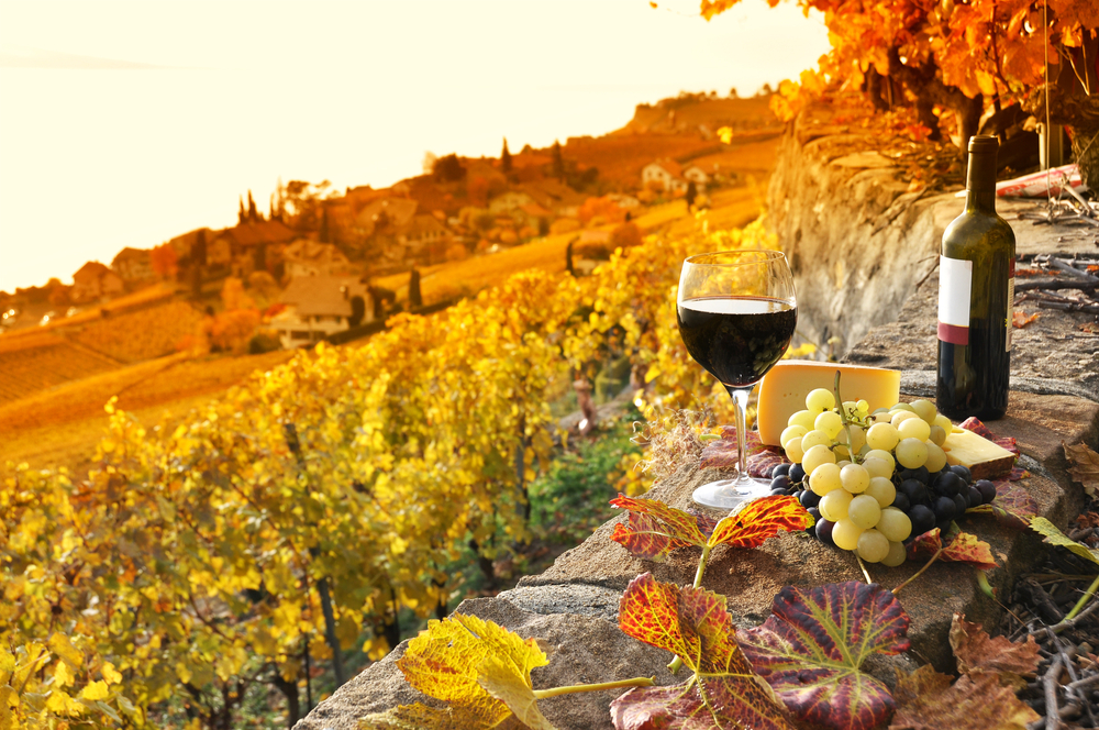 best vineyard mini-breaks 2025