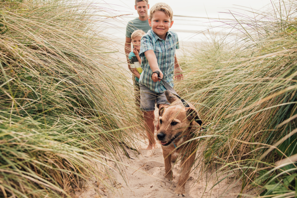 dog-friendly counties UK 2025