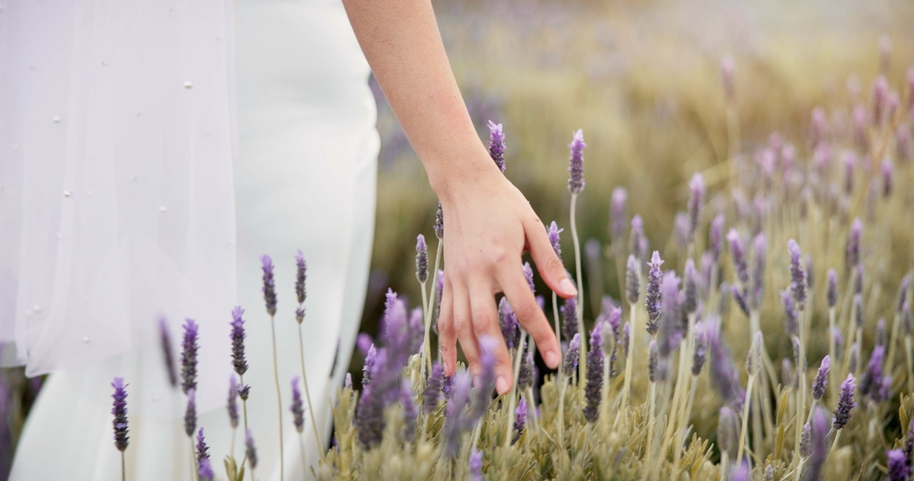 how to create a sensory garden