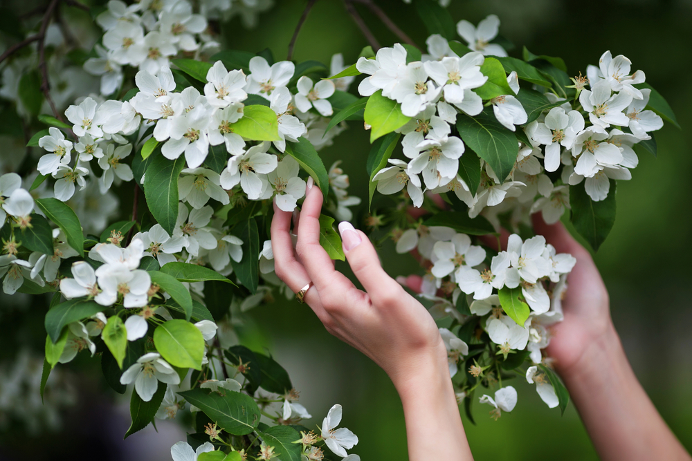 how to create a sensory garden