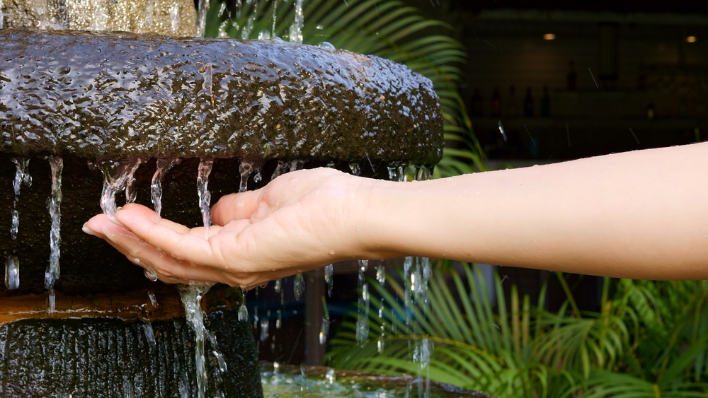 how to create a sensory garden