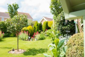 how to upgrade your garden