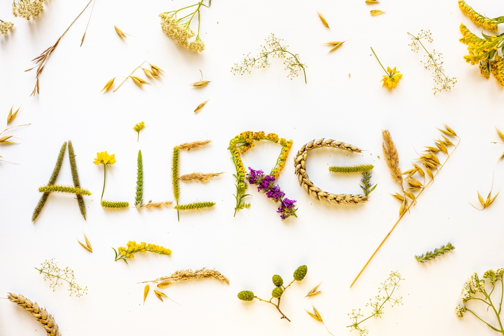 pollen allergy UK