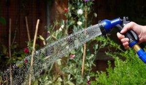 watering garden during heatwave