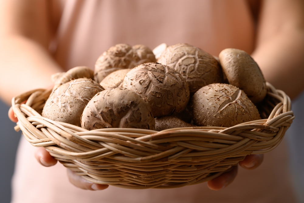 best foods for menopause