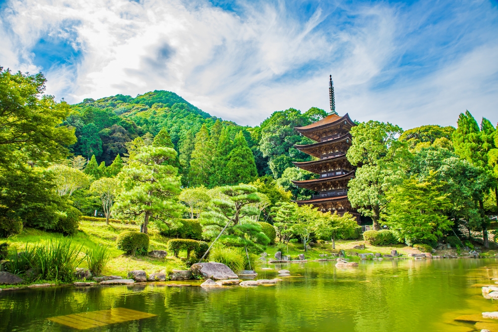 country destinations trending 2025