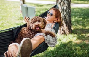 luxury pet-friendly UK staycations