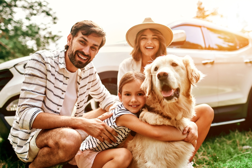 luxury dog-friendly cottages