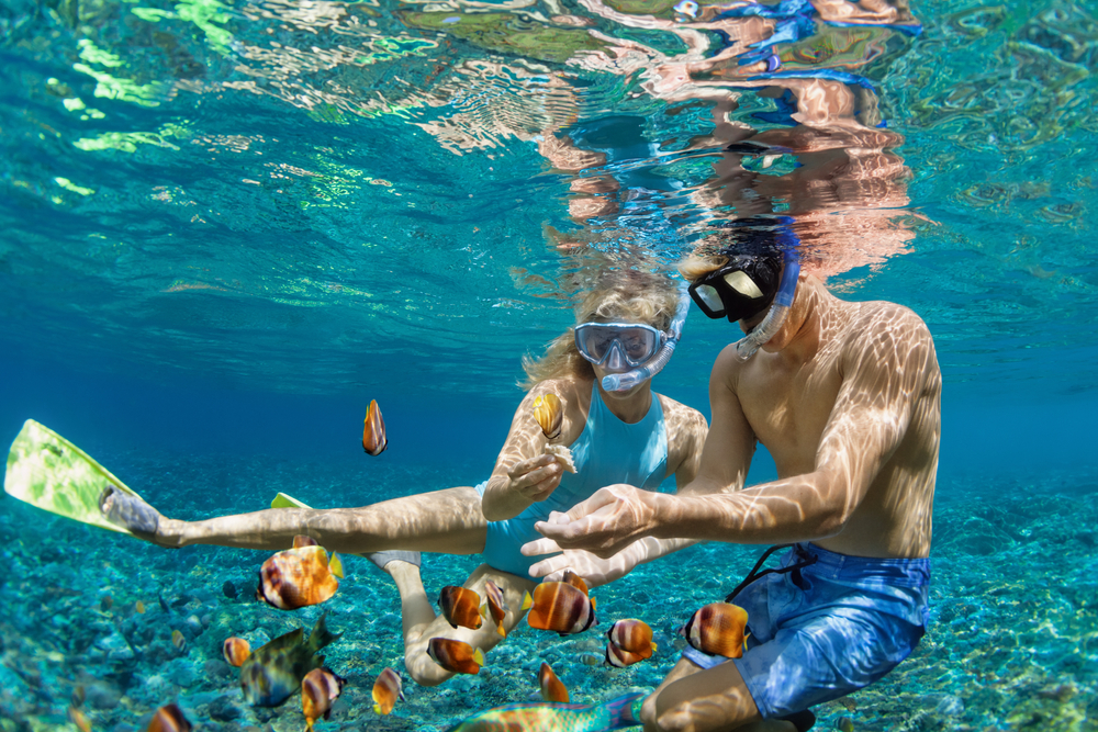 ocean holidays for sea lovers