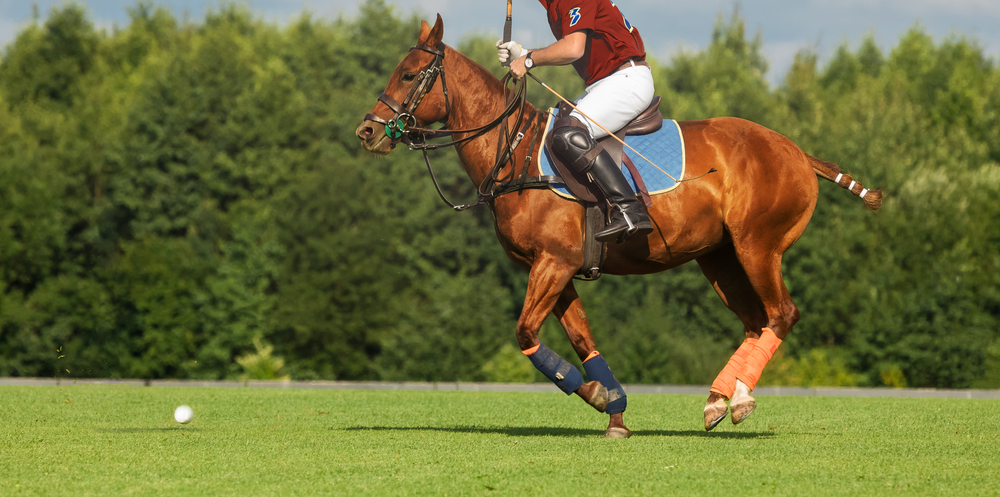 polo lessons uk
