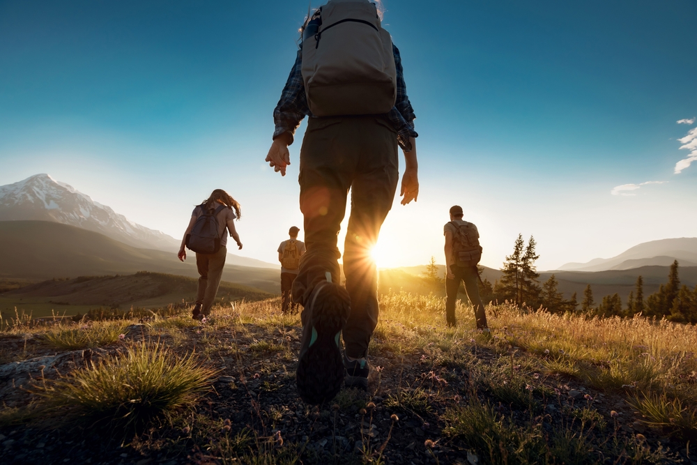 travel agency vs independent travel