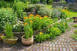 late summer gardening tips