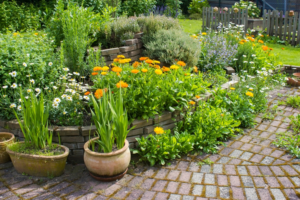 late summer gardening tips