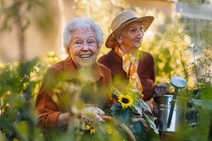 safe living environment for seniors