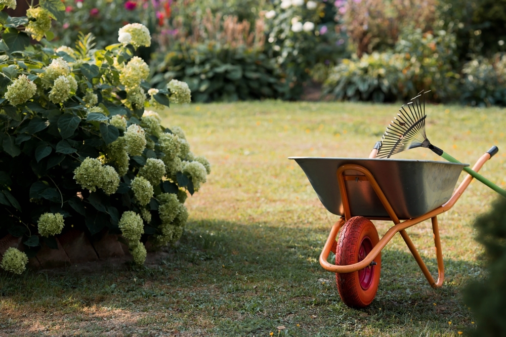 September gardening guide