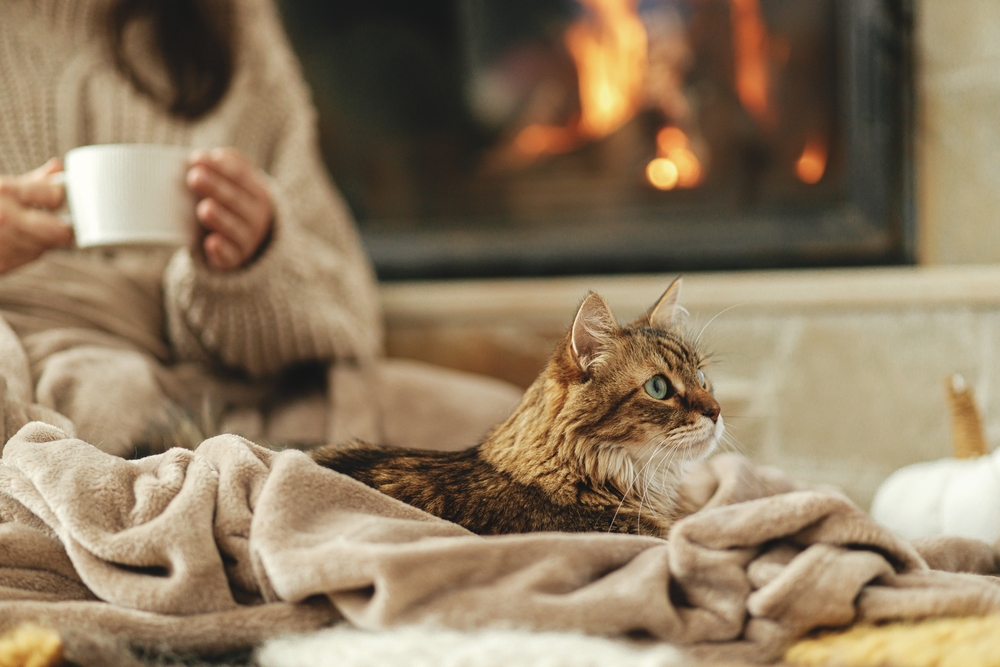 stylish heated throws