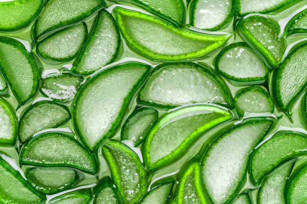 Aloe Vera Skincare