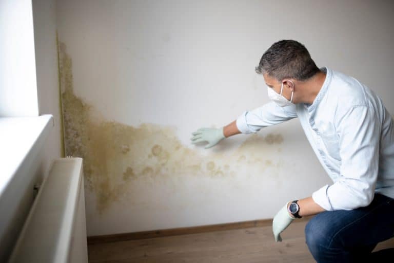 bathroom mould UK